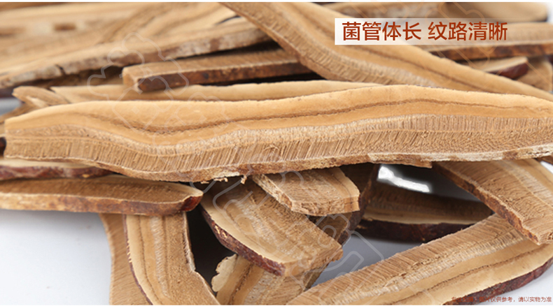 上海菇新 段木靈芝切片 上海菇新 段木靈芝切片