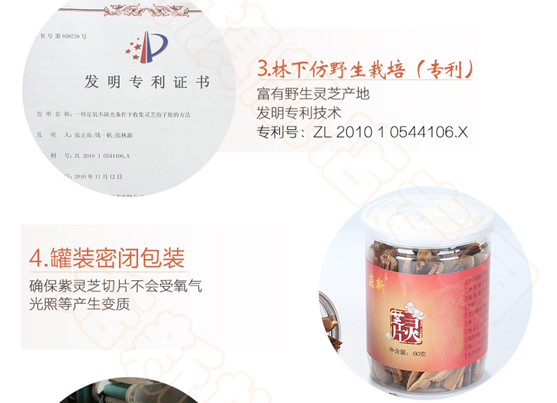 上海菇新 段木靈芝切片 上海菇新 段木靈芝切片