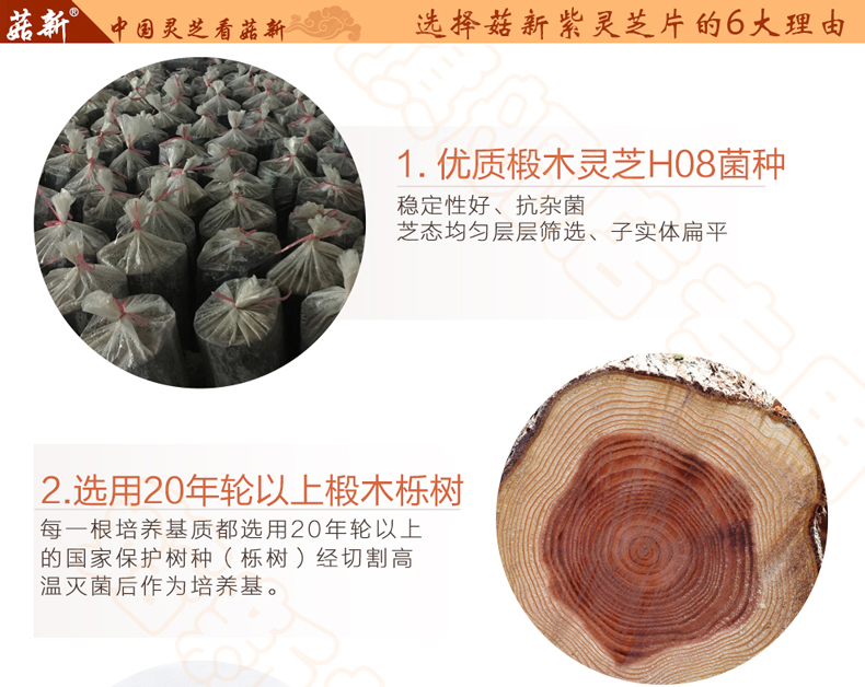 上海菇新 段木靈芝切片 上海菇新 段木靈芝切片