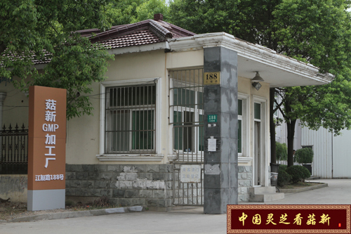 菇新GMP加工廠 菇新GMP加工廠