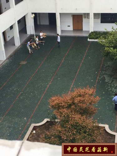 案發現場