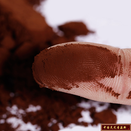 破壁靈芝孢子粉 破壁靈芝孢子粉