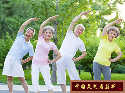 靈芝孢子粉是中老年人養生保健的佳品