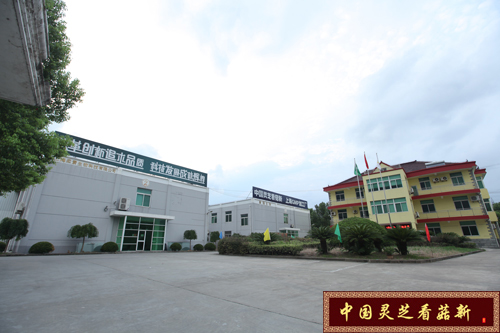 菇新GMP保健品加工廠 菇新GMP保健品加工廠