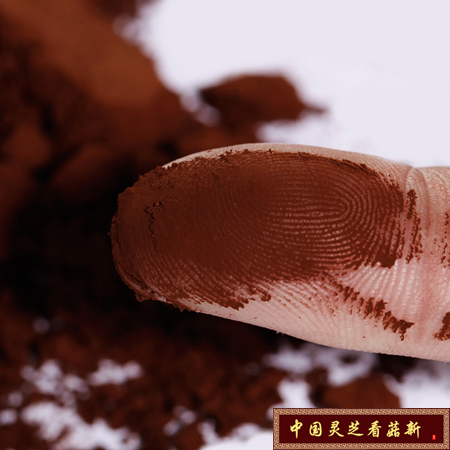 靈芝孢子粉不是補藥