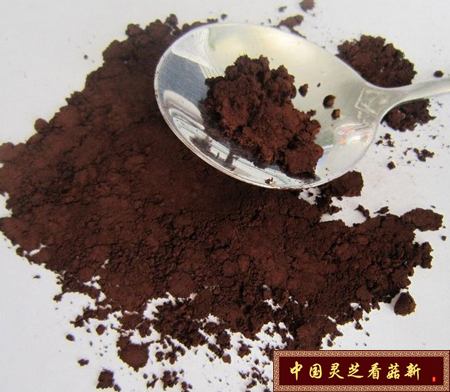 破壁靈芝孢子粉的功效與作用的詳細介紹