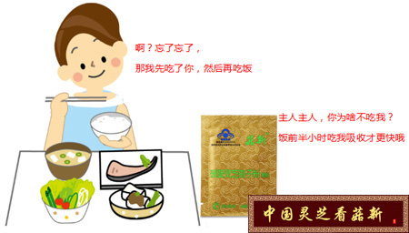 破壁靈芝孢子粉要飯前半小時服用