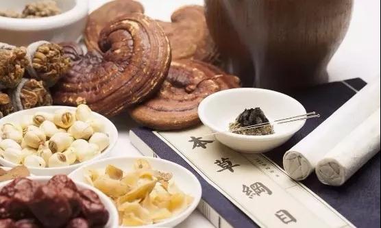 靈芝能夠調節神經衰弱